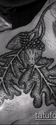 дубовые листья тату №50 — прикольный вариант рисунка, который удачно можно использовать для преобразования и нанесения как тату дубовые листья