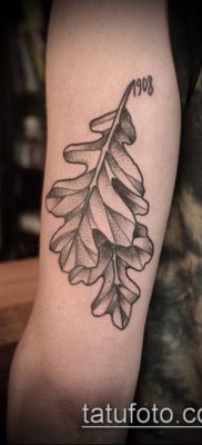 дубовые листья тату №324 — достойный вариант рисунка, который удачно можно использовать для переделки и нанесения как тату дубовые листья