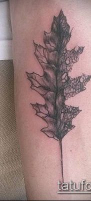 дубовые листья тату №441 — достойный вариант рисунка, который удачно можно использовать для преобразования и нанесения как дубовые листья тату хной