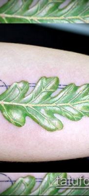 дубовые листья тату №173 — уникальный вариант рисунка, который легко можно использовать для переработки и нанесения как тату дубовые листья