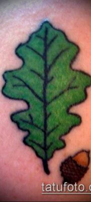 дубовые листья тату №777 — эксклюзивный вариант рисунка, который хорошо можно использовать для доработки и нанесения как дубовые листья тату хной