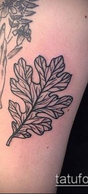 дубовые листья тату №624 — крутой вариант рисунка, который хорошо можно использовать для доработки и нанесения как дубовые листья тату хной