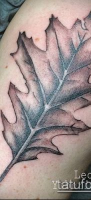дубовые листья тату №835 — уникальный вариант рисунка, который хорошо можно использовать для преобразования и нанесения как тату дубовые листья