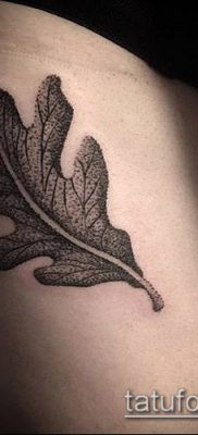 дубовые листья тату №739 — достойный вариант рисунка, который удачно можно использовать для преобразования и нанесения как тату дубовые листья