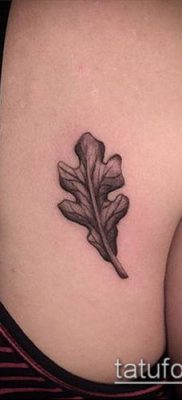 дубовые листья тату №542 — достойный вариант рисунка, который удачно можно использовать для переделки и нанесения как листья дуба тату