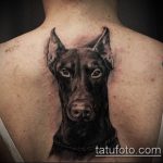 тату доберман №791 - прикольный вариант рисунка, который легко можно использовать для преобразования и нанесения как тату доберман щенок