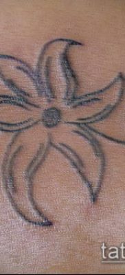 тату жасмин №746 — прикольный вариант рисунка, который успешно можно использовать для переработки и нанесения как Tattoo jasmine