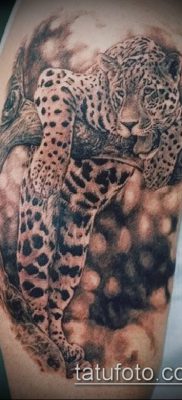 Фото тату ягуар №634 — прикольный вариант рисунка