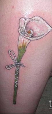 тату каллы №186 — прикольный вариант рисунка, который удачно можно использовать для преобразования и нанесения как тату цветок каллы