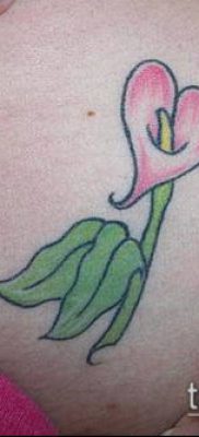 тату каллы №825 — достойный вариант рисунка, который легко можно использовать для переработки и нанесения как тату каллы эфиопской