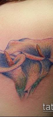 тату каллы №151 — достойный вариант рисунка, который хорошо можно использовать для преобразования и нанесения как Tattoo calla