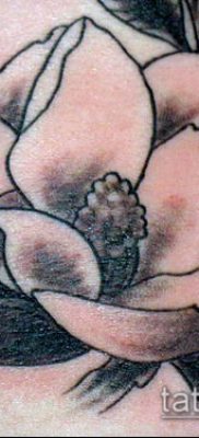 тату магнолия №814 — достойный вариант рисунка, который успешно можно использовать для преобразования и нанесения как Magnolia tattoo