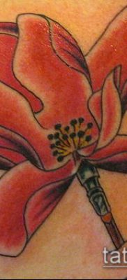 тату магнолия №218 — прикольный вариант рисунка, который удачно можно использовать для переработки и нанесения как Magnolia tattoo