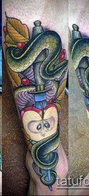 тату меч и змея №798 — интересный вариант рисунка, который успешно можно использовать для переделки и нанесения как Tattoo sword and snake