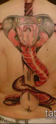 тату меч и змея №606 — классный вариант рисунка, который хорошо можно использовать для переделки и нанесения как Tattoo sword and snake