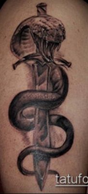 тату меч и змея №657 — интересный вариант рисунка, который удачно можно использовать для доработки и нанесения как Tattoo sword and snake