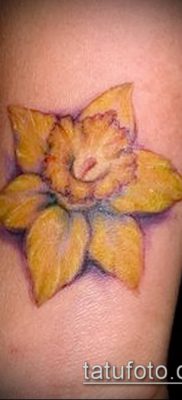 фото тату нарцисс (Narcissus Tattoo) (значение) — пример рисунка — 005 tatufoto.com