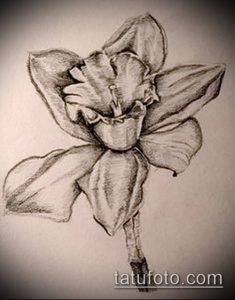 Черно-белый эскиз татуировки нарцисса, выполненный карандашом. Детализированный рисунок цветка с проработанными лепестками и стеблем. Идеально для вдохновения.
