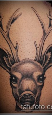 фото тату олень с рогами (tattoo) (значение) — пример рисунка — 002 tatufoto.com
