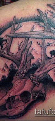 фото тату олень с рогами (tattoo) (значение) — пример рисунка — 015 tatufoto.com