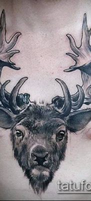 фото тату олень с рогами (tattoo) (значение) — пример рисунка — 019 tatufoto.com