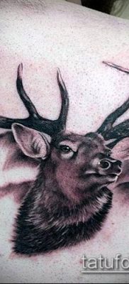 фото тату олень с рогами (tattoo) (значение) — пример рисунка — 022 tatufoto.com