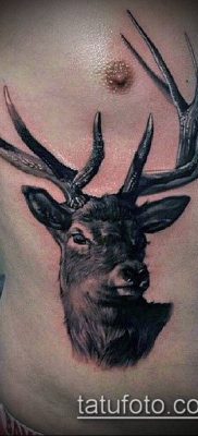фото тату олень с рогами (tattoo) (значение) — пример рисунка — 023 tatufoto.com
