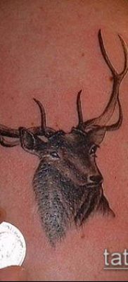 фото тату олень с рогами (tattoo) (значение) — пример рисунка — 038 tatufoto.com