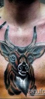 фото тату олень с рогами (tattoo) (значение) — пример рисунка — 058 tatufoto.com