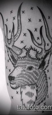 фото тату олень с рогами (tattoo) (значение) — пример рисунка — 062 tatufoto.com