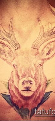фото тату олень с рогами (tattoo) (значение) — пример рисунка — 067 tatufoto.com