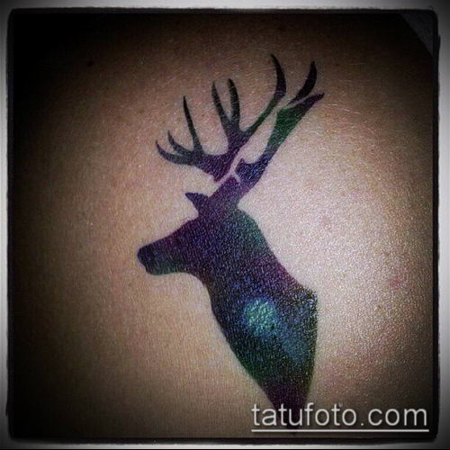 фото тату олень с рогами (tattoo) (значение) - пример рисунка - 072 tatufoto.com