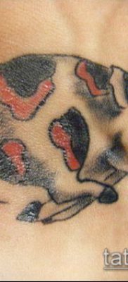 тату свинья №3 — достойный вариант рисунка, который удачно можно использовать для преобразования и нанесения как Pig tattoo