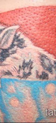 тату свинья №166 — эксклюзивный вариант рисунка, который хорошо можно использовать для переделки и нанесения как тату свинья и петух