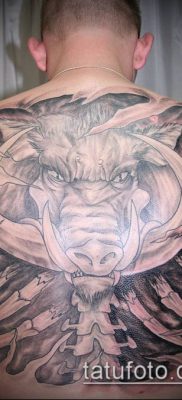 тату свинья №340 — эксклюзивный вариант рисунка, который легко можно использовать для переделки и нанесения как тату свинья и петух