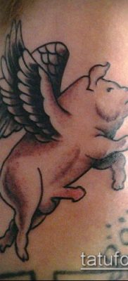 тату свинья №178 — интересный вариант рисунка, который хорошо можно использовать для переделки и нанесения как тату кабан и бык