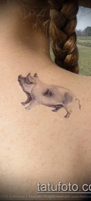 тату свинья №129 — уникальный вариант рисунка, который легко можно использовать для преобразования и нанесения как тату свинья и петух