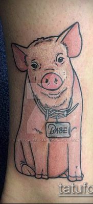 тату свинья №701 — уникальный вариант рисунка, который удачно можно использовать для переработки и нанесения как тату свинья и петух