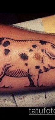 тату свинья №653 — крутой вариант рисунка, который легко можно использовать для доработки и нанесения как тату кабан и бык
