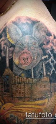 тату свинья №179 — прикольный вариант рисунка, который легко можно использовать для переработки и нанесения как Pig tattoo