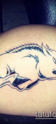тату свинья №313 — интересный вариант рисунка, который легко можно использовать для преобразования и нанесения как Pig tattoo