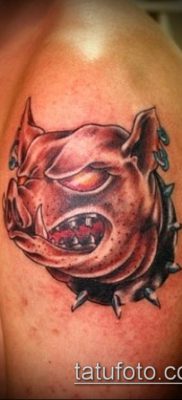 тату свинья №284 — интересный вариант рисунка, который хорошо можно использовать для преобразования и нанесения как Pig tattoo