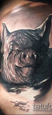 тату свинья №182 — классный вариант рисунка, который успешно можно использовать для переработки и нанесения как тату свинья