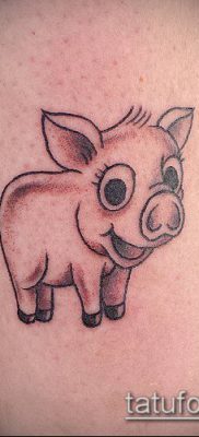 тату свинья №618 — классный вариант рисунка, который удачно можно использовать для преобразования и нанесения как тату свинья и петух
