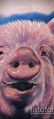 тату свинья №188 — уникальный вариант рисунка, который хорошо можно использовать для переработки и нанесения как тату свинья