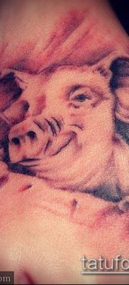 тату свинья №607 — эксклюзивный вариант рисунка, который удачно можно использовать для переделки и нанесения как тату свинья