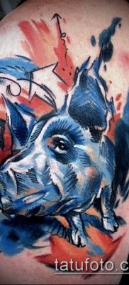 тату свинья №566 — уникальный вариант рисунка, который легко можно использовать для преобразования и нанесения как тату кабан и бык