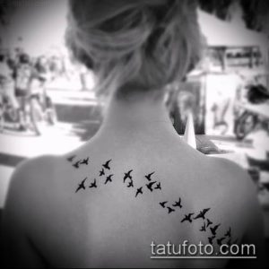 Фото тату стаи летящих птиц на спине девушки. Небольшие, изящные птички, расположенные в ряд, создают эффект полета.