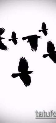 тату стая птиц №823 — прикольный вариант рисунка, который успешно можно использовать для преобразования и нанесения как тату стая птиц на руке
