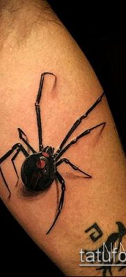 фото тату черная вдова (Tattoo) (значение) — пример рисунка — 001 tatufoto.com